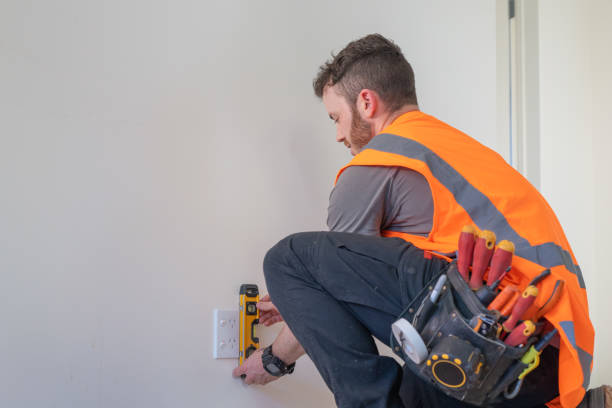 Best Electric Panel Repair  in Ocilla, GA
